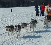 Photo by Donna Finner