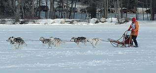 Photo by Donna Finner