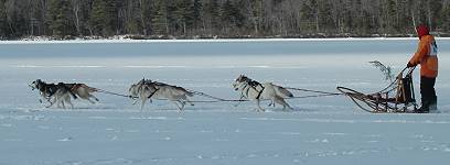 Photo by Donna Finner