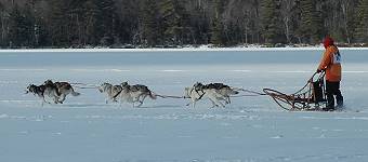 Photo by Donna Finner