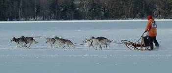 Photo by Donna Finner