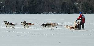 Photo by Donna Finner