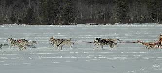 Photo by Donna Finner