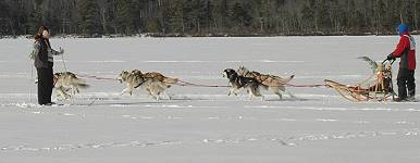 Photo by Donna Finner