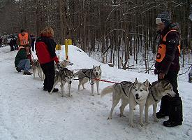 Bobby's team in the start chute