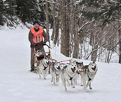 Bobby's starting.  He had a mix of A/B string dogs, but 2 A leaders