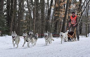 Bobby's finishing.  He had a mix of A/B string dogs, but 2 A leaders